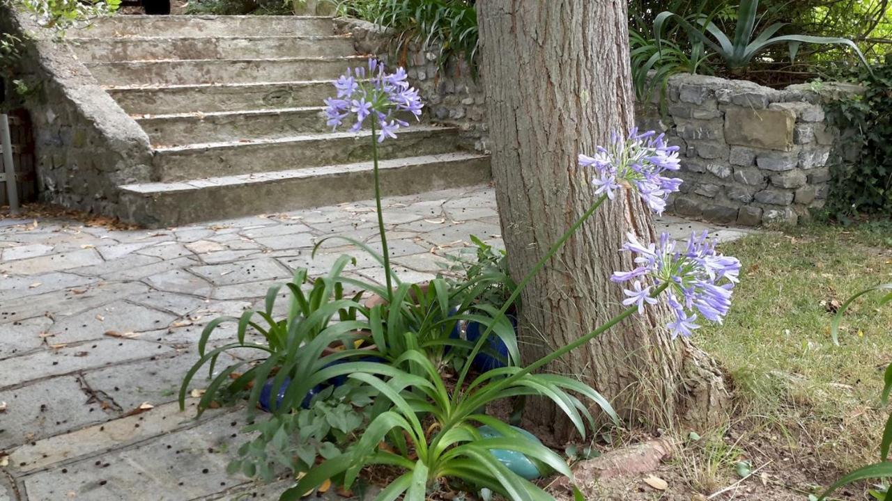 Deliziosa Casetta Con Dehor E Giardino Immersa Nel Verde Ligure Imperia Kültér fotó